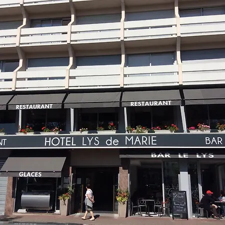 Lys De Marie Lourdes